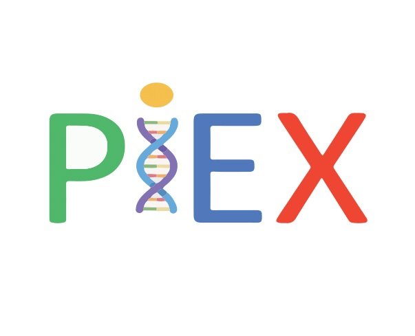PIEXLOGO1
