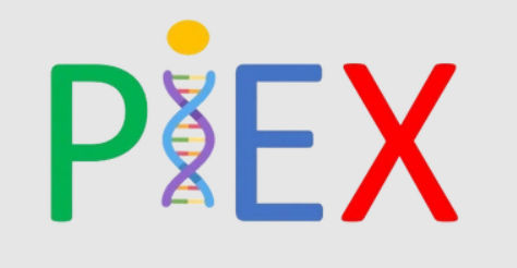 piexlogo